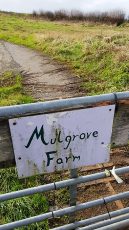 Photo of a field gate with the sign 'Mulgrove Farm' attached.