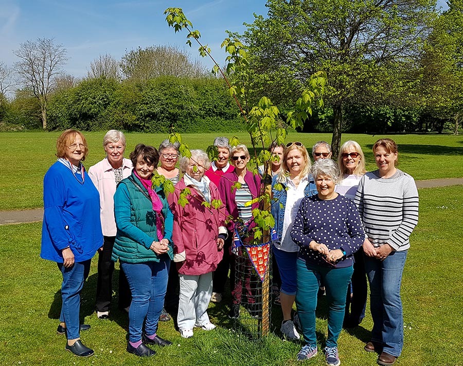 Photo of a group of women standing besides a small tree in a park.