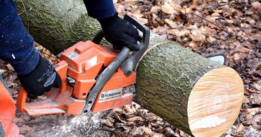 Photo of a chainsaw being used to cut a tree trunk.